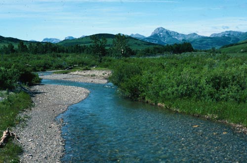 The English Creek country near Dupuyer, Montana